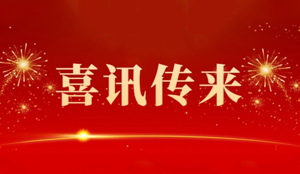 開工大吉 | 龍翔萬里 乘風而上！