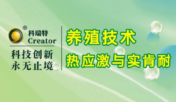 養(yǎng)殖技術(shù)|熱應激與實肯耐
